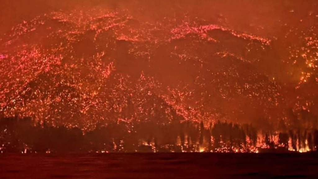 Incendios en la Patagonia: más de 4.000 hectáreas quemadas, 700 evacuados y un Estado ausente